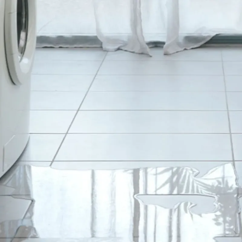 Appliance Leak Cleanup in Belfair, WA