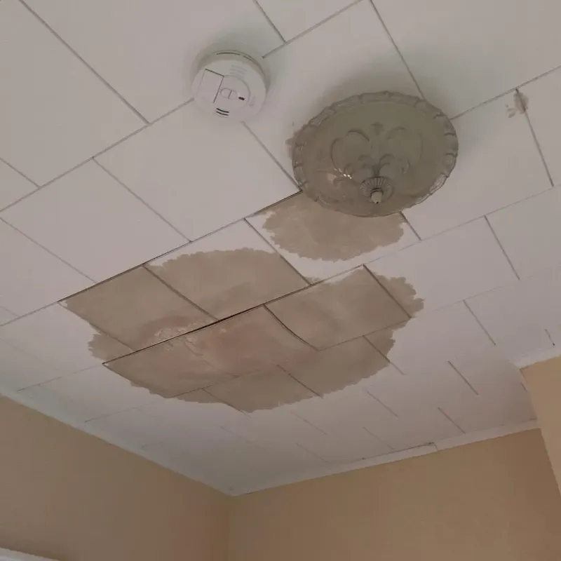 Ceiling Water Damage Repair in Belfair, WA