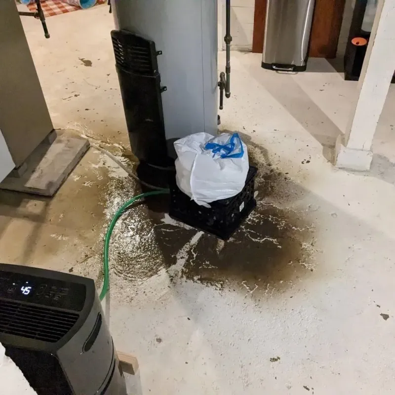 Sewage Backup Cleanup Service in Belfair, WA